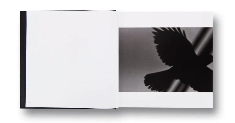 ravens_masahisa (2).png