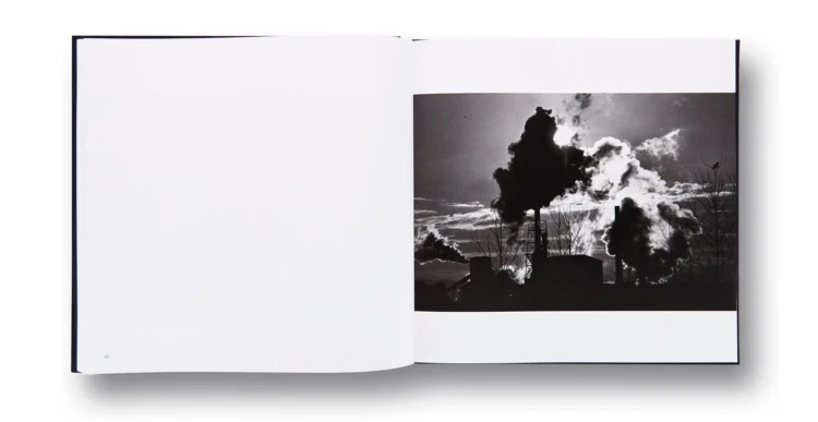 ravens_masahisa (5).png