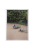 TTP_Hayahisa_Tomiyasuz (1).png