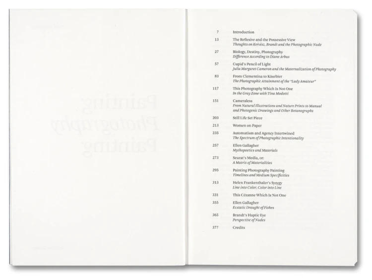 Painting_Photography_Painting_Selected_Essays (3).png