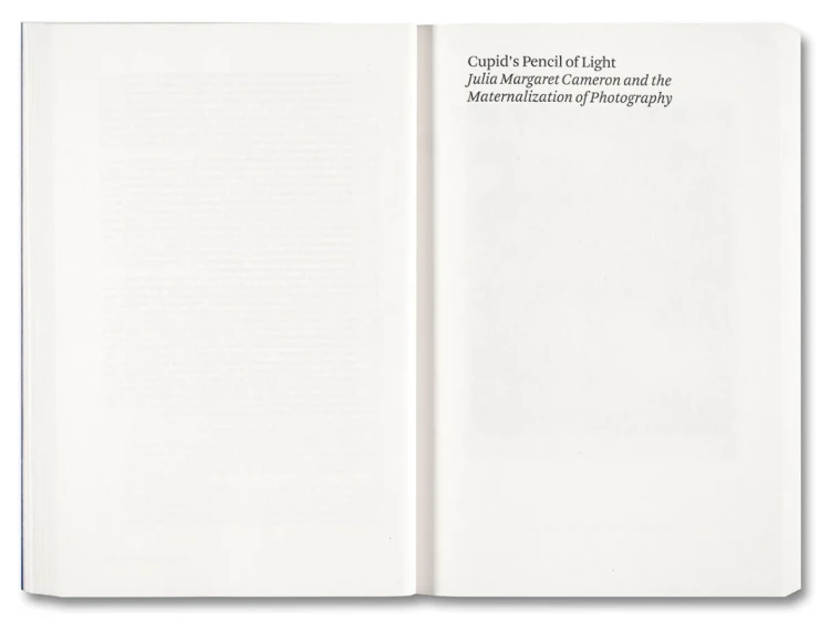 Painting_Photography_Painting_Selected_Essays (4).png