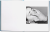 stable_vices (5).png