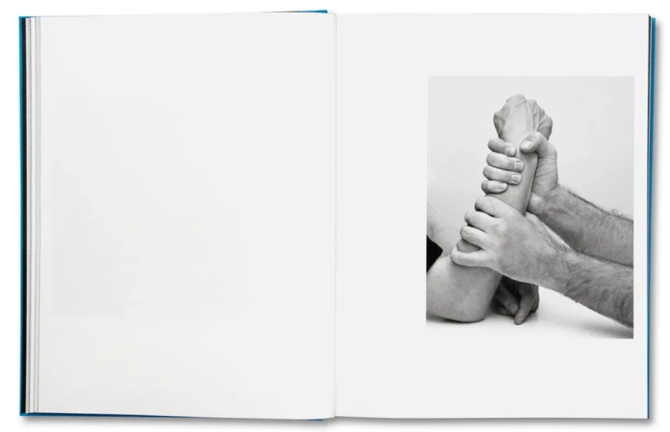 stable_vices (6).png