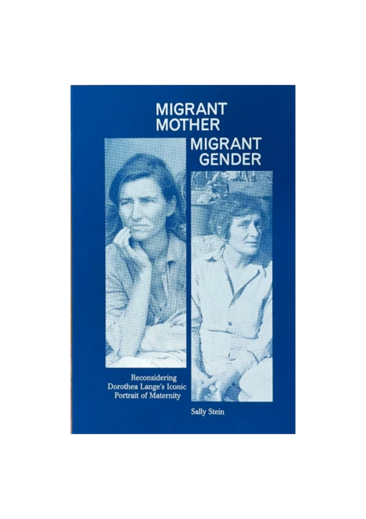 migrant_mother_migrant_gender (1).png
