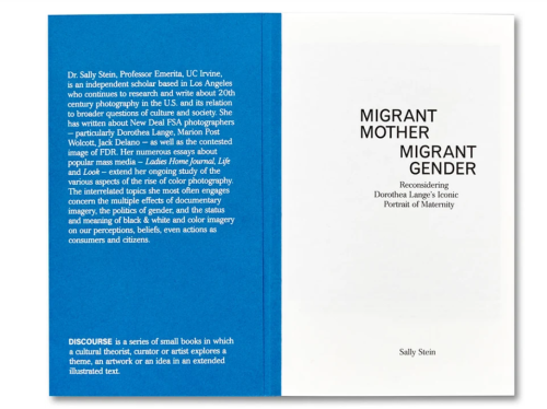 migrant_mother_migrant_gender (2).png