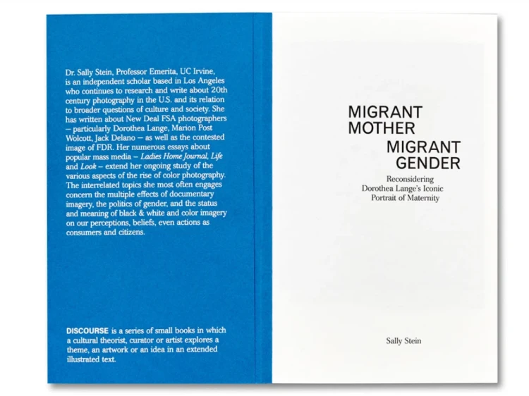 migrant_mother_migrant_gender (2).png