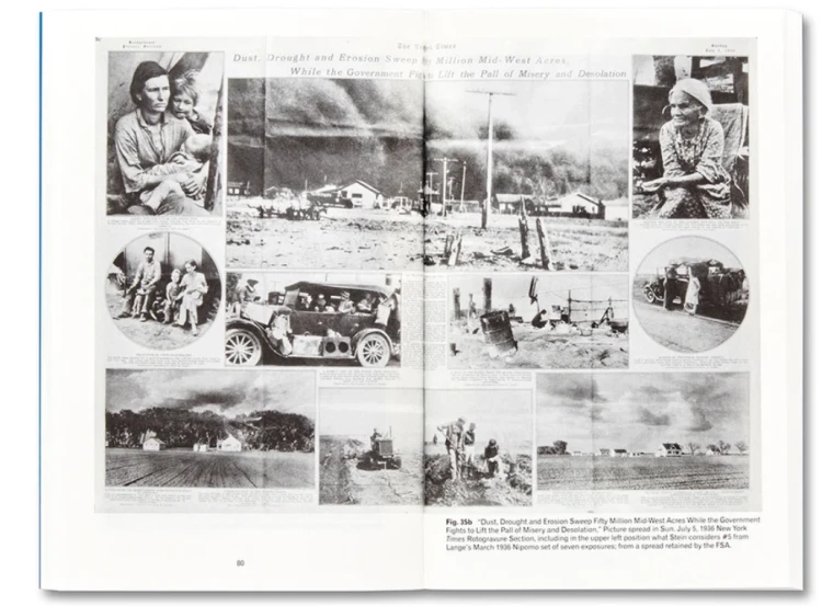 migrant_mother_migrant_gender (8).png