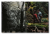 even_as_a_shadow_even_as_a_dream (7).png