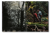 even_as_a_shadow_even_as_a_dream (8).png