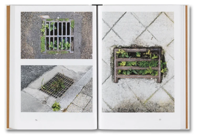 weeds (4).png