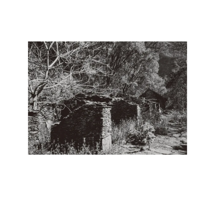 Taiwanruins-3.png