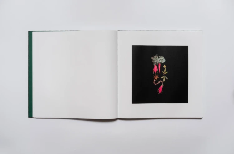 Verbum_naturae_Mila_Kotka_2
