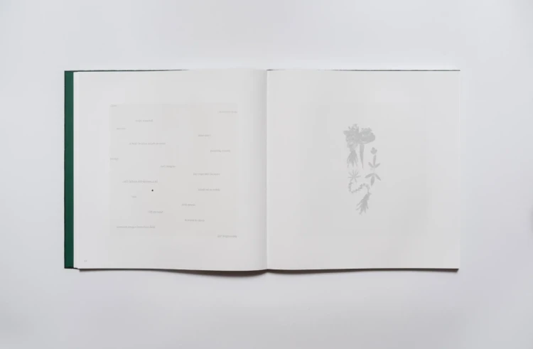 Verbum_naturae_Mila_Kotka_3