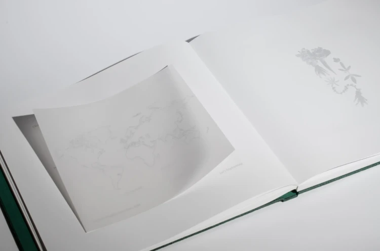 Verbum_naturae_Mila_Kotka_4